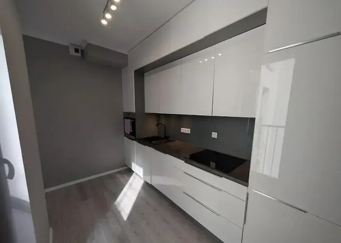 公寓 The P47 波兹南