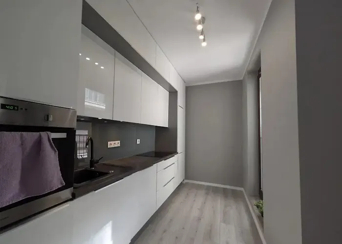 公寓 The P47 波兹南